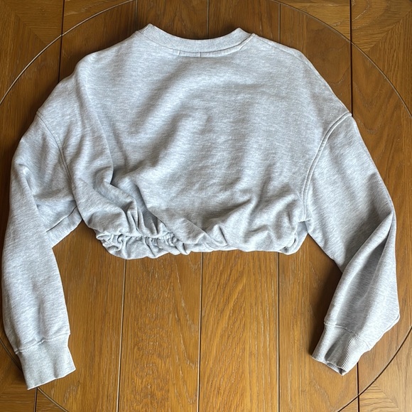 Cropped Grey Dynamite Sweatshirt - Picture 3 of 5